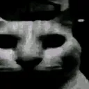 fnafcat