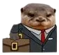 otter_business