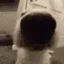 SNIFFA