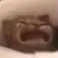 WAAAAH
