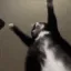 Jigglin