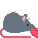 rat_handshake_left