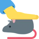 rat_pat