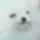 miimon