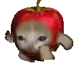 Cat_Applecat
