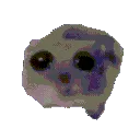 Mouse_Singingmouse Mouse_Singingmouse