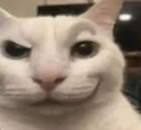 Cat_grin