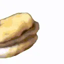 Cat_Hamburgerkitten