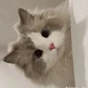 QuelchiCar
