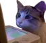 WatchingStream