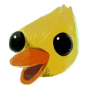 ducko