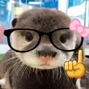 otter_nerd