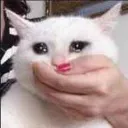 AAAAAAA