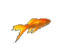 <a:F1s:1337236211474890905>