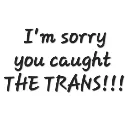 youcaughtthetrans