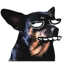 ruff_grrrr