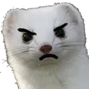 mad_SOSELITE