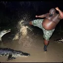 Gatorfight Gatorfight