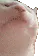 vibecat