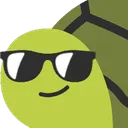 CWTurtleSunglasses