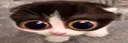 MONKA MONKA