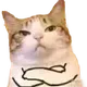 catto1