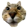 boubobu