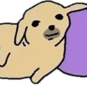 PuppyStare Discord emoji