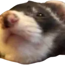 woozle