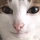 SmileFace