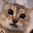 hello
