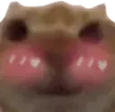 milo