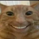 smilyCat
