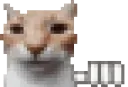 waitingcat