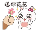 Flower Flower
