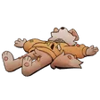 narpyHooplah