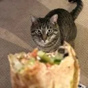 artyhungry