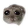 sad