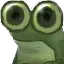 frog_stare