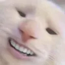 catW