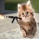 kittygun