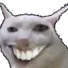 CATGRIN CATGRIN