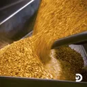GoldRushMiningGIFbyDiscovery
