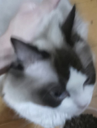 hope2 Discord Emoji | 𝒜 𝓌𝒽𝑜𝓁𝑒 𝓃𝑒𝓌 𝓌𝑜𝓇𝓁𝒹