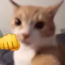 catfight