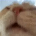 Guh