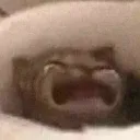 WAHHHHHHR