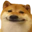 dogsmile dogsmile