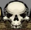 Zkull