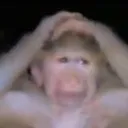 emoji_19